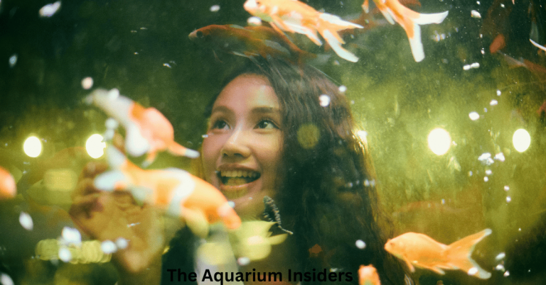 “Tokyo’s Best Aquariums Ranked for Tourists”