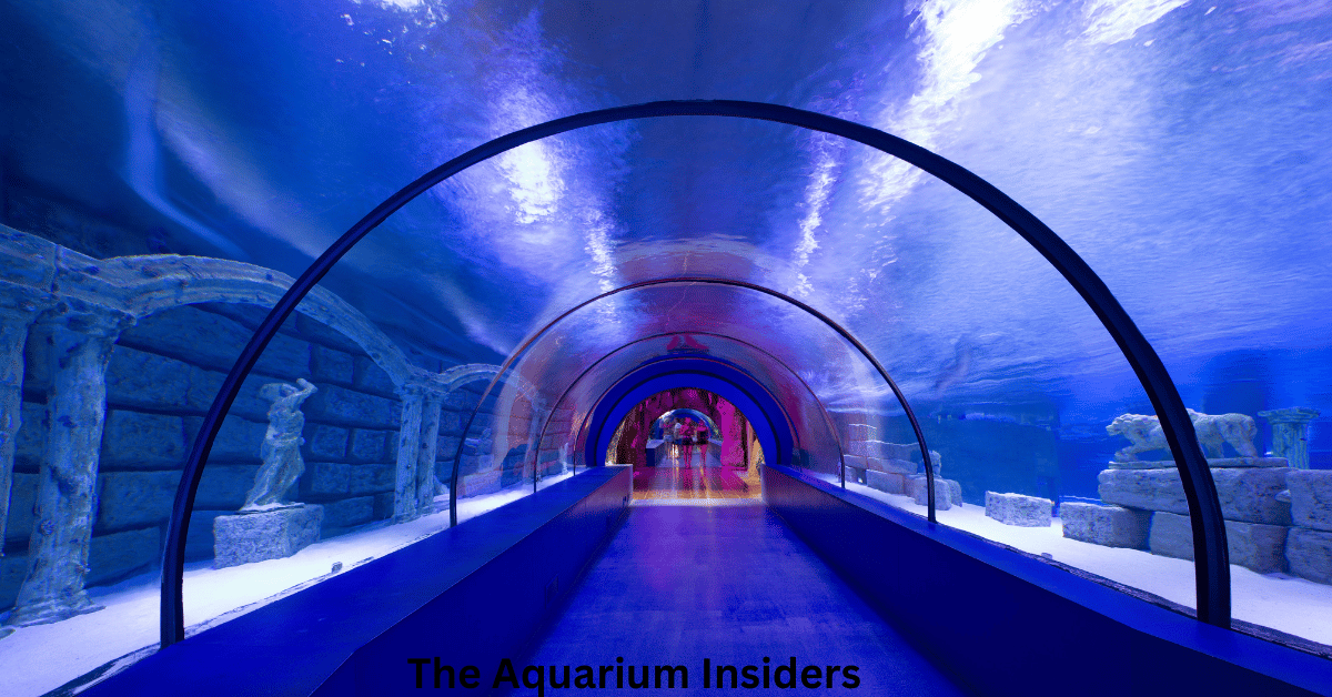 “The Best Small Aquariums in Europe Worth Visiting on Your Trip”