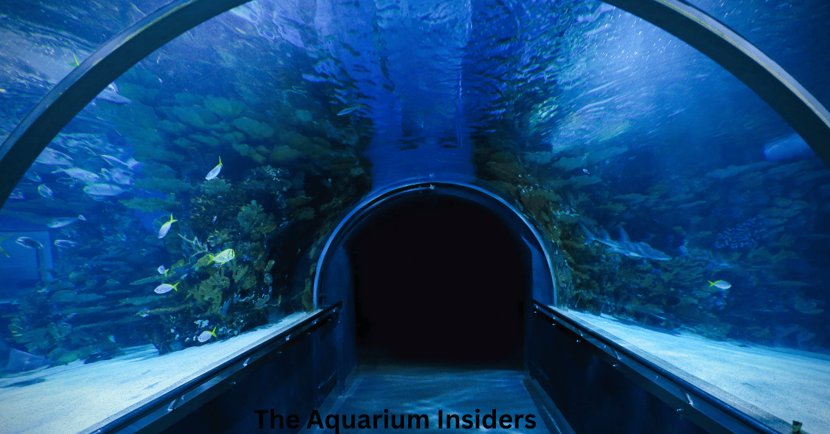 “Complete Visitor Guide to the Georgia Aquarium for First-Time Travelers”
