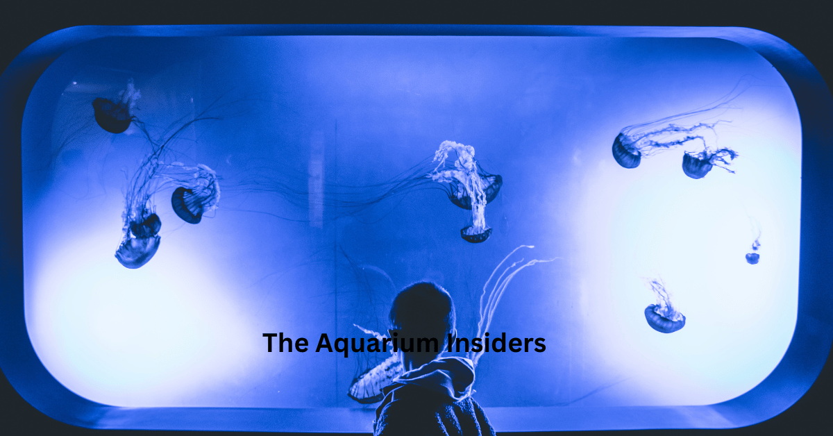 Most Underrated Aquariums in the World You’ve Probably Never Heard Of