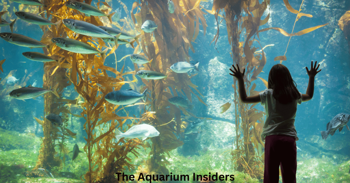 Best Aquariums in Europe for First-Time Travelers