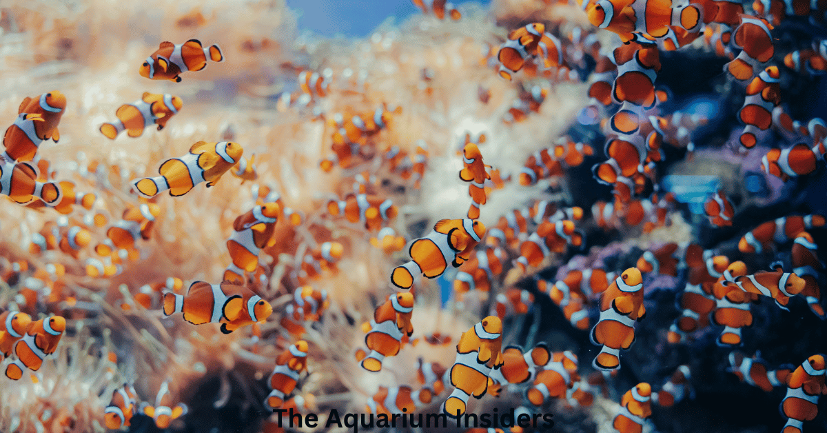 Top Aquariums in Asia You Can Visit Without Breaking the Bank