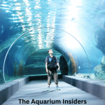 Lost Chambers Aquarium