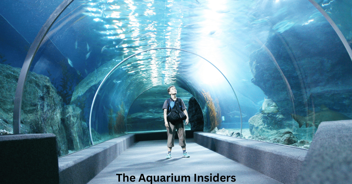 Lost Chambers Aquarium