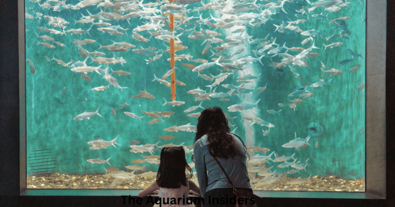 “How to Plan a City Trip Around an Aquarium Visit”
